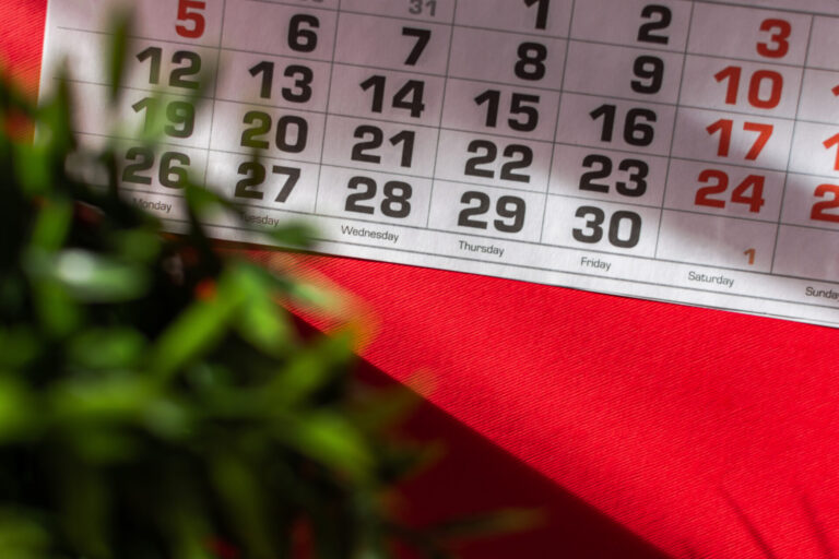 Calendar page on red surface, partial plant view